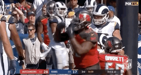 Regular Season Football GIF by NFL
