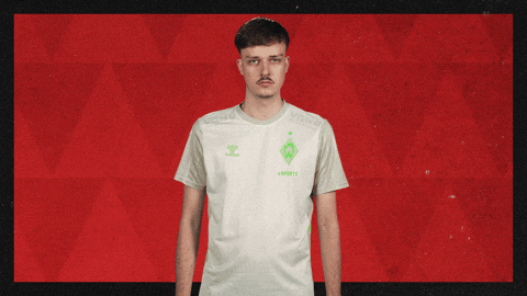 Werder Bremen What GIF by Bundesliga
