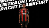 Vamos Come On GIF by Eintracht Frankfurt