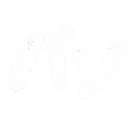 Pan Bakery Sticker by NAGORECO