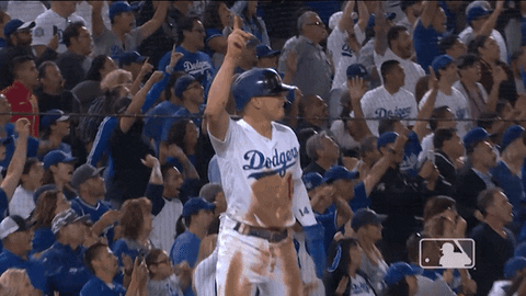 Major League Baseball Sport GIF by MLB