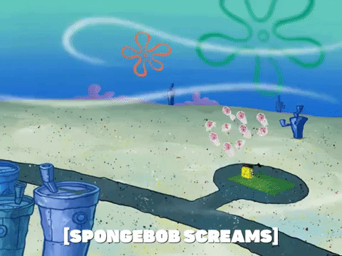 season 5 the two faces of squidward GIF by SpongeBob SquarePants
