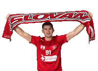 Rokomet Sticker by RD Slovan