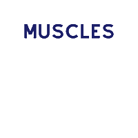 Fitness Fitmom Sticker by MummyFIT UK