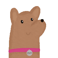 Brown Dog Sticker