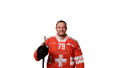 Celebrate National Team Sticker by Swiss Ice Hockey