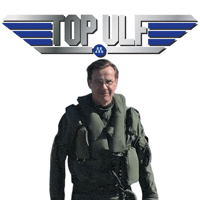 Top Gun Pilot GIF by Moderaterna