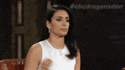 dragons den stare GIF by CBC