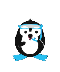 Swim Swimming Sticker by PENGEMS