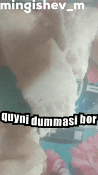 Uzbek Quy GIF