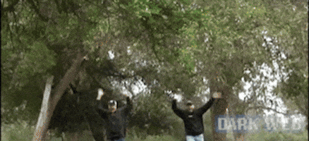 Paul Scheer Presents GIF by Dark Web