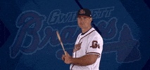 baseball stare GIF by Gwinnett Braves
