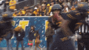College Football GIF by WVU Sports