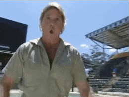 Steve Irwin GIF by Bustle