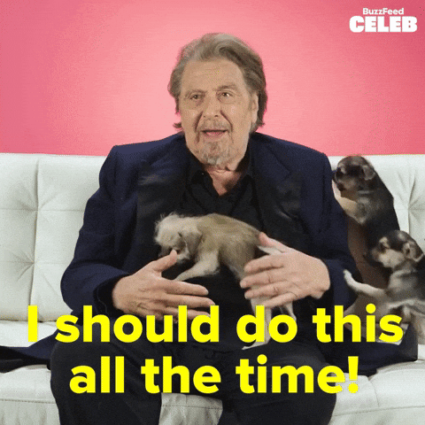Al Pacino Puppy GIF by BuzzFeed