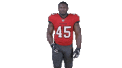 Tampa Bay Football Sticker by Tampa Bay Buccaneers