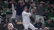 boston celtics dance GIF by NBA