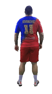 GFCAHandball handball serbia handball player bogdan Sticker