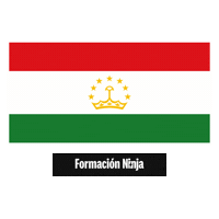 Tajikistan Flag Sticker by Formación Ninja