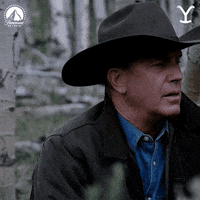 Kevin Costner Paramountnetwork GIF by Yellowstone