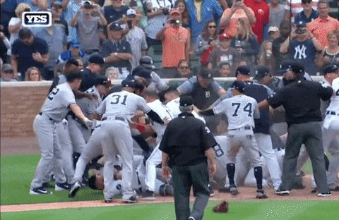 megrowler giphyupload GIF