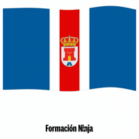 Bandera Andalucia GIF by Formación Ninja