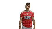bord gais sport Sticker by Bord Gáis Energy