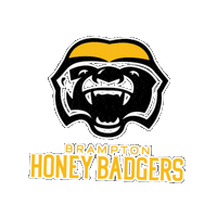 Basketball Nba Sticker by Brampton Honey Badgers