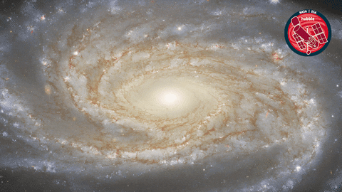 Awesome Nasa GIF by ESA/Hubble Space Telescope