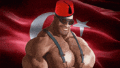 Team Fortress 2 Turkey GIF