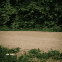 Toyota Estonia GIF by FIA World Rally Championship