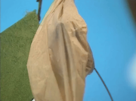 Cocoon