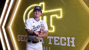Georgia Tech Baseball GIF by Georgia Tech Yellow Jackets