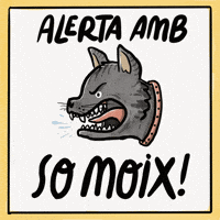 Gatos Gat GIF