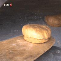 Hungry Home GIF by TRT