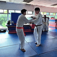 Judo GIF
