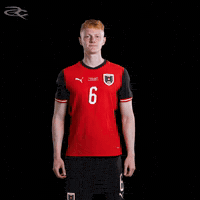 Fifa World Cup Austria GIF by Respective