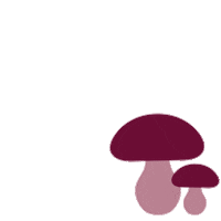 Mushroom Sesong Sticker by Coop Norge