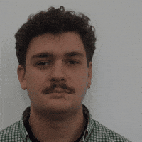 Morphaius approval gifle approuvé morphaius GIF