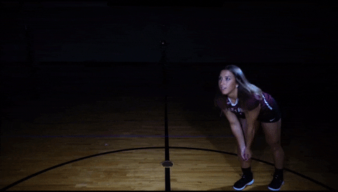 Littlerockvb GIF by Little Rock Athletics