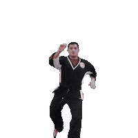 Jump Karate Sticker by Team GMA