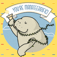 Tostoini hype proud wholesome uplifting GIF