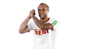 marcel risse soccer Sticker by 1. FC Köln