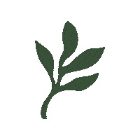 Skincare Waxing Sticker by The Pink Canoe Studio