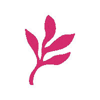 Skincare Waxing Sticker by The Pink Canoe Studio