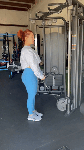 megsquats giphyupload GIF
