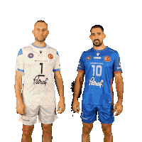 Volleyball Sticker by Halkbank Spor Kulübü