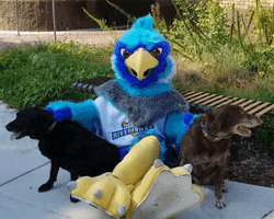 Dog Day GIF by Anne Arundel Community College