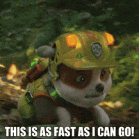 Puppy Running Going Fast GIF by Paw Patrol Movies