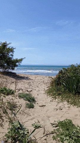 Simongip giphyupload GIF